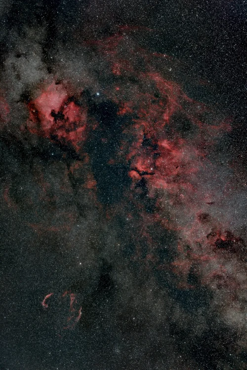 はくちょう座付近の散光星雲(北アメリカ/ペリカン/サドル/網状) 85mm PENTAX K‑1 II 天体改造機 奥多摩 2025/7